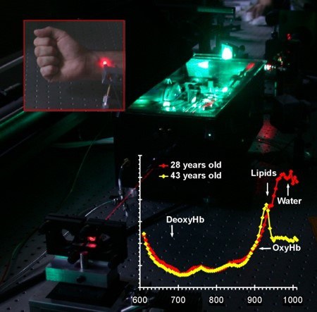 Non-invasive optical characterisazion of biological tissues in vivo using broadband time-domain diffuse optical spectroscopy