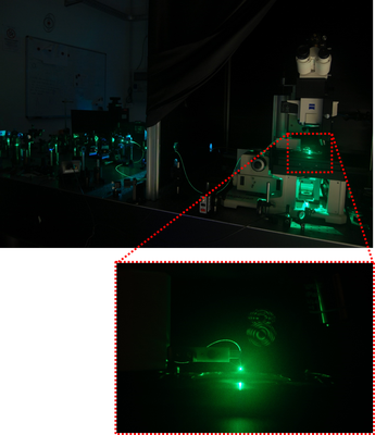 Scanning Near-field Optical Microscope (SNOM)