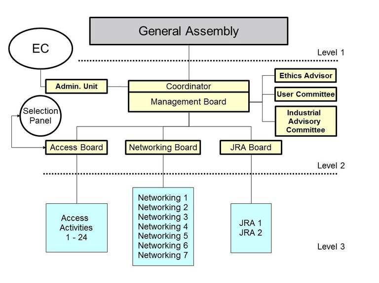 Management Structure